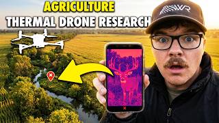 I Studied Agricultural Deer with a Thermal Drone