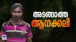 മലപ്പുറം കരുളായിയില്‍ കാട്ടാന ആക്രമണത്തില്‍ ആദിവാസി യുവാവ് മരിച്ചു| Malappuram | Elephant