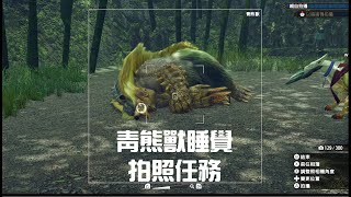 [MHR]魔物獵人崛起! 青熊獸睡覺拍照任務解法參考!