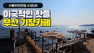 부산 기장카페 이국적인 핫플 추천 ｜기장 가볼만한곳, 베이커리맛집