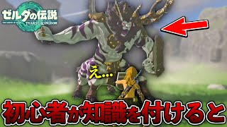 【ティアキン】戦闘ガチ初心者がライネルの知識を付けて戦ってみた結果...【ゼルダの伝説 ティアーズ オブ ザ キングダム】