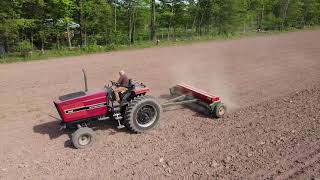 Seeding down old corn ground | IH 3088 with a  Brillion seeder