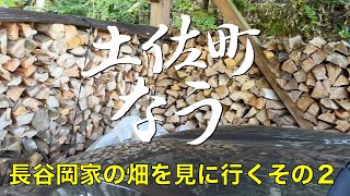 長谷岡家の畑を見に行く その２　ゆず畑「土佐町なう」/ 高知県土佐町　地域おこし・移住・林業・農業・田舎暮し