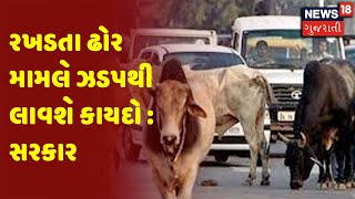 Ahmedabad | રખડતા ઢોર મામલે ઝડપથી લાવશે કાયદો : સરકાર | News 18 Gujarati