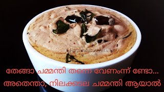 നിലക്കടല ചമ്മന്തി / ചമ്മന്തി / / Peanut chutney / chatni / Chammanthi / Chamandi / chutney recipe