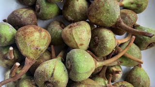 fig helthy recipe#അത്തിപ്പഴം തോരൻ🍎😋video 15