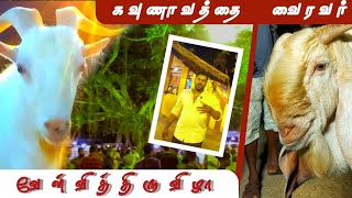 ஆயிரக்கணக்கில் குவிந்த ஆடுகள்| கவுணாவத்தை வேள்வி| அதிகாலையில் நடந்த சம்பவம் என்ன?