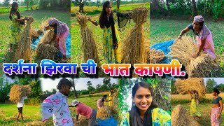 दर्शना झिरवा ची भात कापणी.Darshana zirva chi bhat kapni video nakki baga.