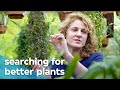 How does a plant taste salt? (Big Questions 7/8) | VPRO Documentary