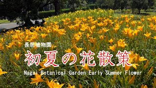 長居植物園　初夏の花散策　2021　大阪市 Nagai Botanical Garden Early Summer Flower Walk Osaka Japan