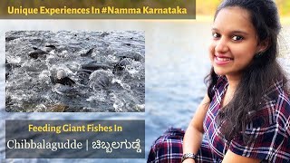 ಚಿಬ್ಬಲಗುಡ್ಡೆ । Chibbalagudde | Kannada Travel Vlog | Ananya Bhagath