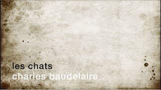 La minute de poésie : Les chats [Charles Baudelaire]