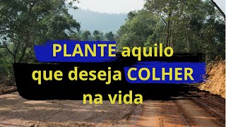 Colhemos aquilo que plantamos na vida