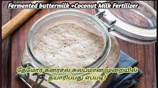 How to Prepare Fermented Buttermilk +Fermented Coconut Milk Fertilizer Easily ?? Themor Karaisal