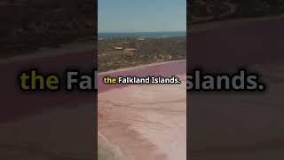 Weird Facts About Countries You Didn't Know - Ep 4 Nive, Australia, Falkland #WeirdFacts #Fact