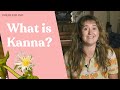 Kanna: A Legal Plant for Microdosing + More 🌿 | DoubleBlind