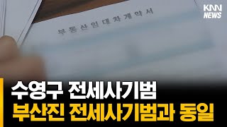 수영구 전세사기, 부산진 전세사기범과 동일 인물