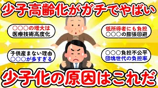 【2ch有益】緊急速報！少子化が加速してヤバい！　少子高齢化が止まらない本当の理由ってこれじゃね？　少子化の原因はこれだ！