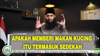 APAKAH MEMBERI MAKAN KUCING ITU TERMASUK SEDEKAH