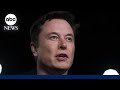 Elon Musk calls for artificial intelligence pause