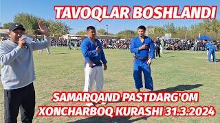 TAVOQLAR BOSHLANDI SAMARQAND PASTDARG'OM XONCHARBOQ KURASHI 31.3.2024 @Voxa_Uloq