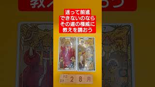 おみくじ的タロット占い「迷って前進てまきないのなら、その道の権威者に教えを請おう」