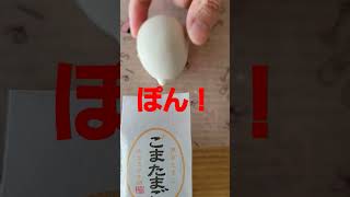 東京ごまたまご🥚切ってみた…だけ…ご参考までに