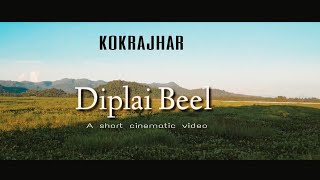 Diplai beel,kokrajhar  Cinematic videography