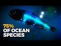 Why Is (Almost) All Bioluminescence in the Ocean?