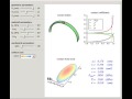 Hertzian Contact Stress