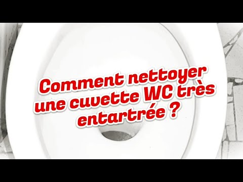 Comment Nettoyer Une Cuvette WC Très Entartrée ? - YouTube