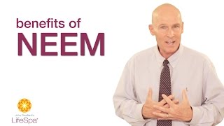 Benefits of Neem | John Douillard's LifeSpa