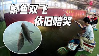 小伙钓鱼门票1100，鲫鱼疯狂双飞上钩，结果还是不能五连冠【钓鱼渣渣慧】