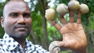 ASMR / SNAIL SOUNDS help for your sleep,4K