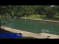 Barton Springs Pool reopens after nearly 3 months | KVUE