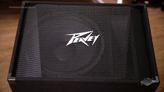 Peavey PV15M Stage Monitor - Peavey PV15M