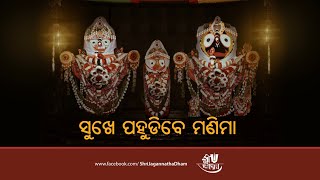 Badasinghara Besha of Mahaprabhu Shri Jagannatha|| ସୁଖେ ପହୁଡିବେ ମଣିମା : ବଡ଼ସିଂହାର ବେଶ #purijagannath