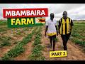 I Was Shocked by Their Land in Zimbabwe 🇿🇼 (Mbambaira Farming Inspiration)