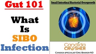 What Is SIBO Infection? Small Intestine Bacterial Overgrowth