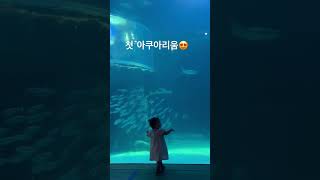 아쿠아리움 처음 가보는 아이 #아기 #babyshorts #baby #babyvideos #cute #cutebaby #신생아 #육아일기 #funny #336