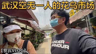 武汉封了157个小区的情况下带着猫出门了，空无一人的花鸟市场【罗宾VLOG】