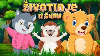 Životinje u šumi MIX 🦊 Pesmice o životinjama 🦝 Eci Peci Pec pesmice 🦁 Zvukovi životinja 🐱 MIX