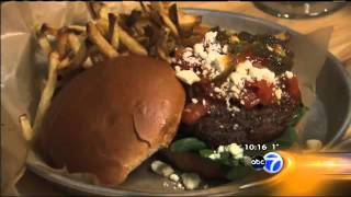 Hungry Hound - with Steve Dolinsky - WLS-TV