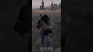 He Took My Big Pipe To The Face On Dayz #dayz #dayznamalsk #dayzbestcontent