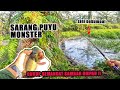 Bawah Pokok Condong Sarang Puyu Saiz Monster. Mancing Ikan Puyu Ketenangan di Cari@JamriFishing