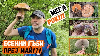 Есенни #гъби към края на май?!?