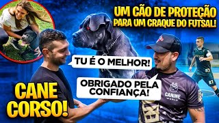 CANE CORSO VAI PROTEGER O CRAQUE!