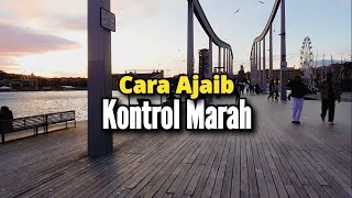 Cara Ajaib Kontrol Marah - Renungan dan Doa Malam Suara Injil 25/11/2024