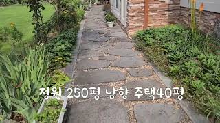 주부가 세심한 노력으로 일구어낸 250평의 정원