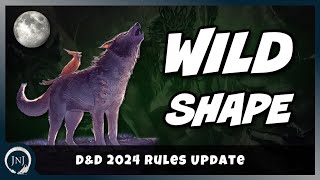 What's Different with Wild Shape in 2024 | D\u0026D 2024 Rules Update